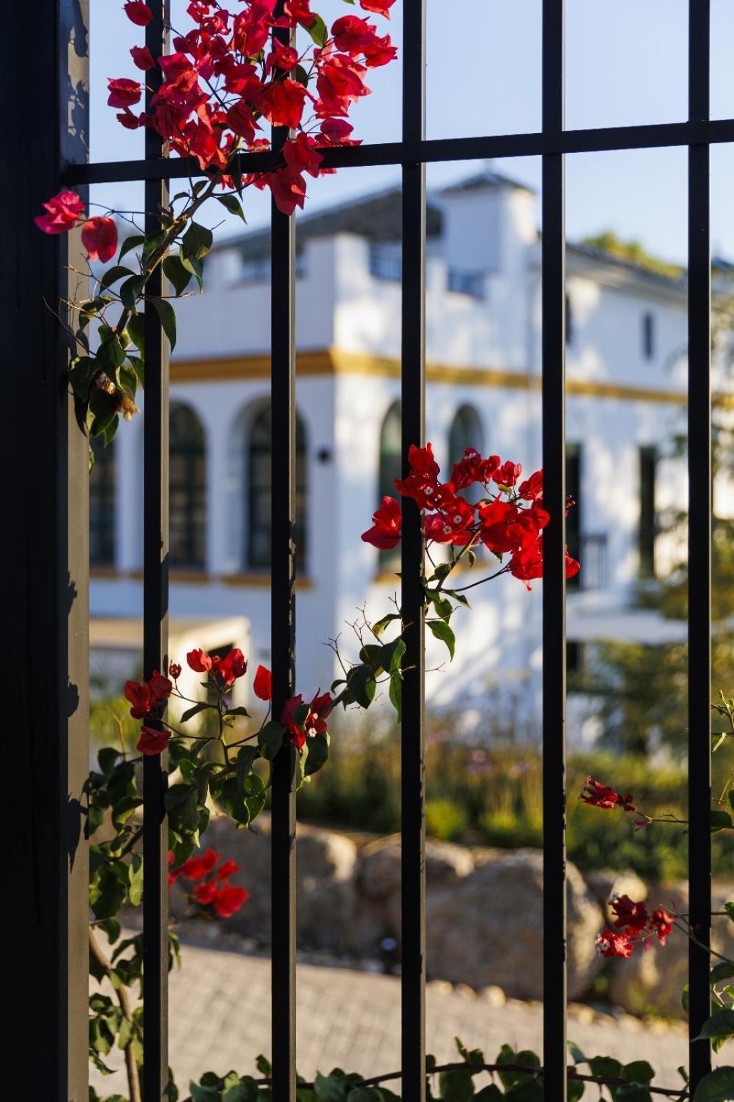 Finca Las Pecas Zambra Exteriér fotografie
