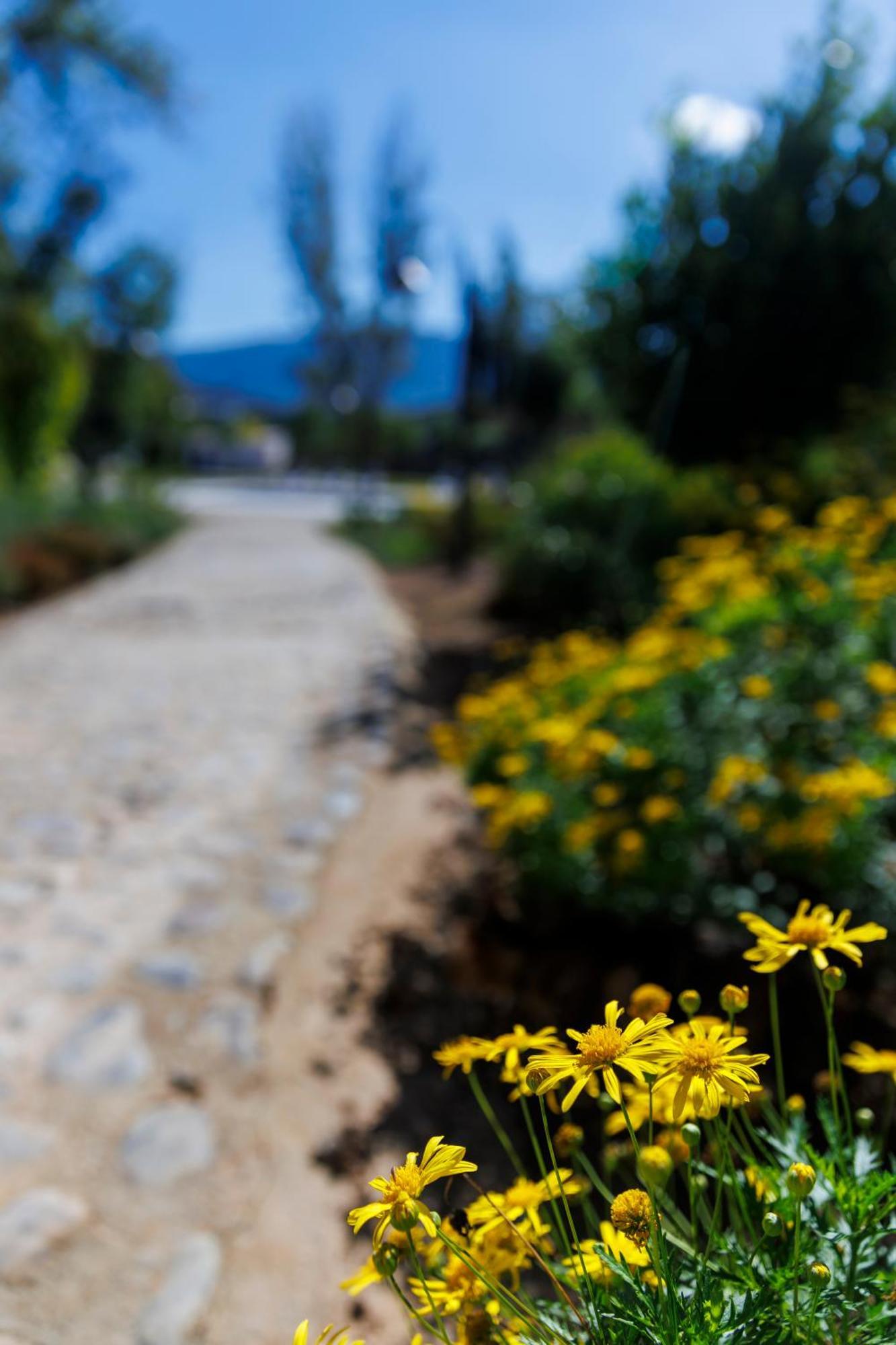 Finca Las Pecas Zambra Exteriér fotografie